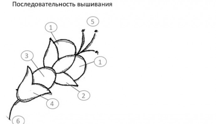Якобинская вышивка: простые секреты для красивой работы: часть 1
