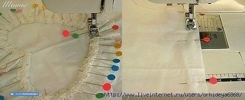 ​Сердце в самом интересном месте