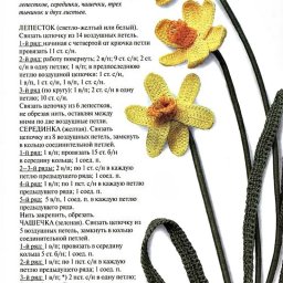 ​Вяжем прекрасный нарцисс