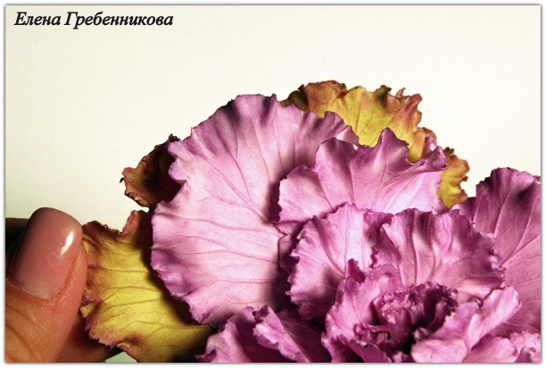 Брассика из холодного фарфора: мастер-класс, часть 3