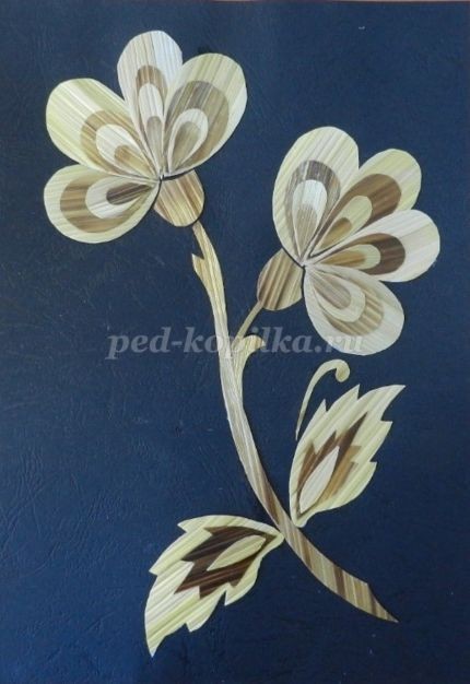 Цветочное панно из соломки: часть 3