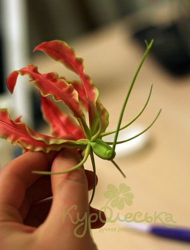 Глориоза: мастер-класс по лепке цветка в технике керамической флористики, часть 5