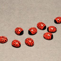 Делаем божью коровку из кофейного зёрнышка