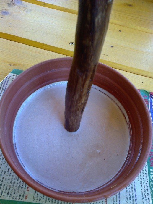 Делаем топиарий с золотыми орешками