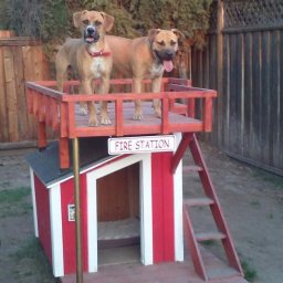 Будка для собаки своими руками