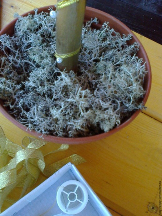 Делаем топиарий с золотыми орешками