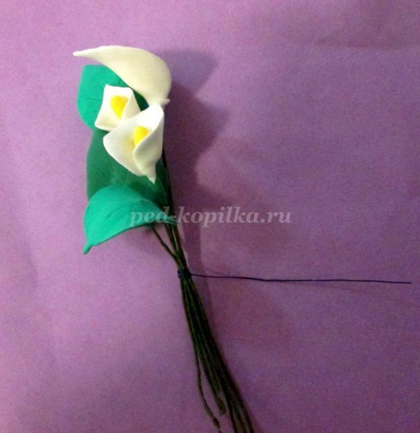 Сердечные каллы: часть 3 Сердечные каллы: часть 3