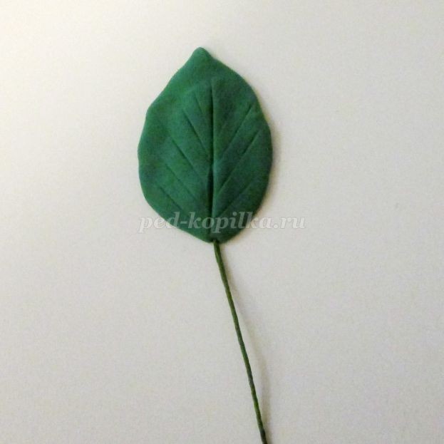 Сердечные каллы: часть 3 Сердечные каллы: часть 3