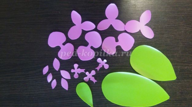 Орхидея из пластиковых бутылок: мастер-класс