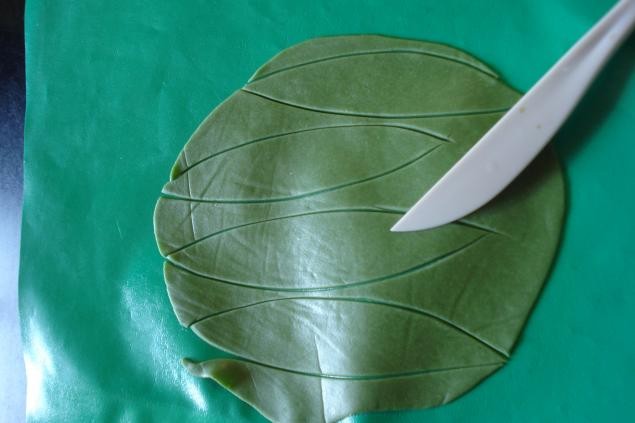 Венерин Башмачок: часть 2