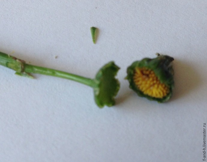 ​Как сделать тычинки для цветов за 5 минут