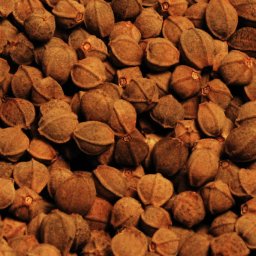 Делаем новогодний декор из орешков липы