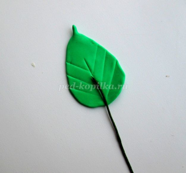 Сердечные каллы: часть 3 Сердечные каллы: часть 3