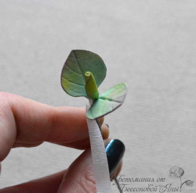 Создаем эвкалипт "Бейби Блю" из фоамирана: часть 2