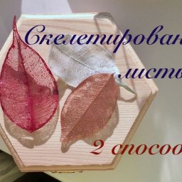2 способа скелетирования листьев: как сделать прозрачные листья