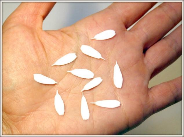 Ромашка из самозастывающей полимерной глины: часть 2