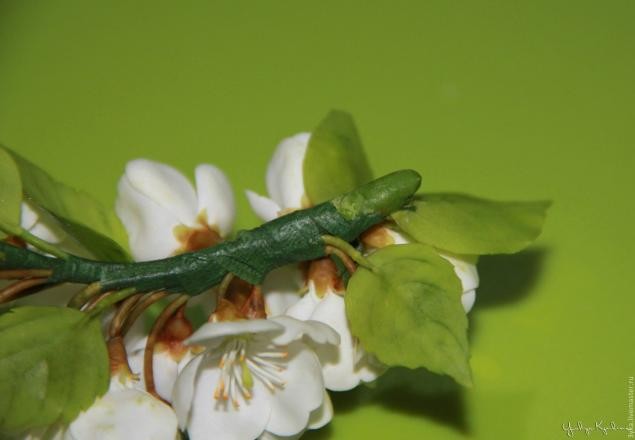 Веточка цветущей вишни из холодного фарфора: часть 4