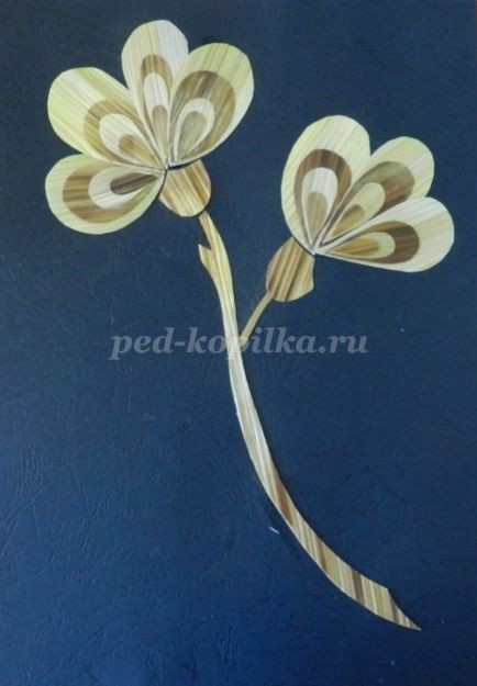 Цветочное панно из соломки: часть 2