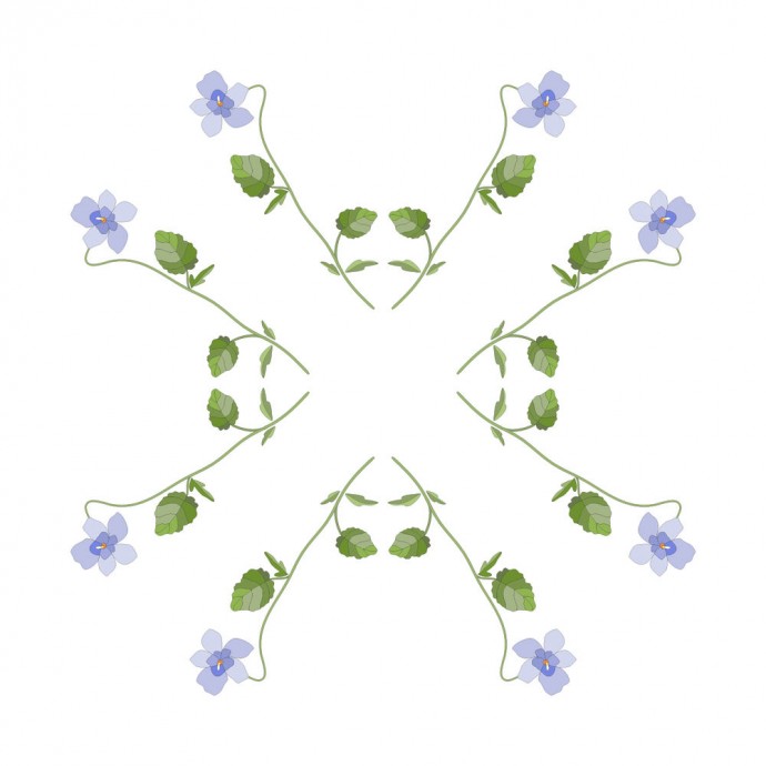 ​Узоры из фиалок