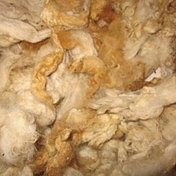 Как вымыть и покрасить шерсть