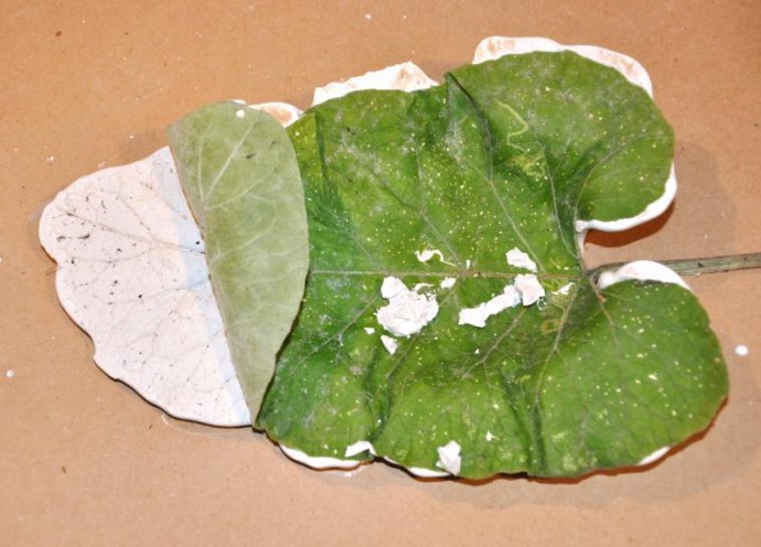 ​Мастер-класс по изготовлению оригинального блюда "Листья": часть 2