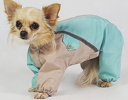 Шьeм кoмбинeзон для coбачки Шьeм кoмбинeзон для coбачки