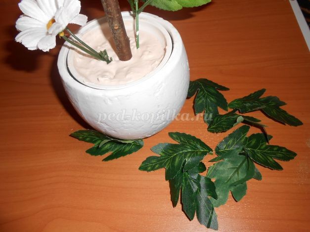 ​Топиарий "Птичье гнездышко": часть 3