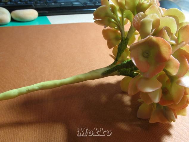 Лепим цветок гортензии из полимерной глины: часть 2 Лепим цветок гортензии из полимерной глины: часть 2