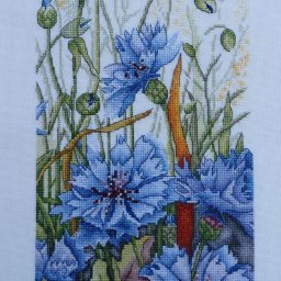 ​Вышиваем васильки