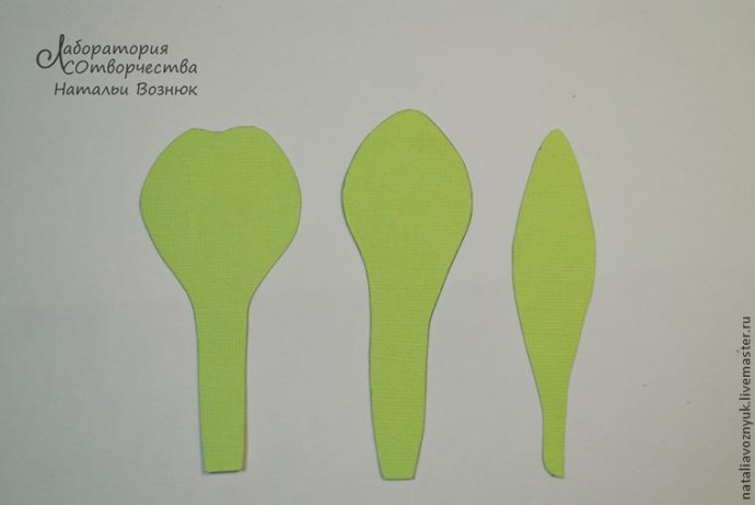 Как сделать реалистичный ирис: часть 1