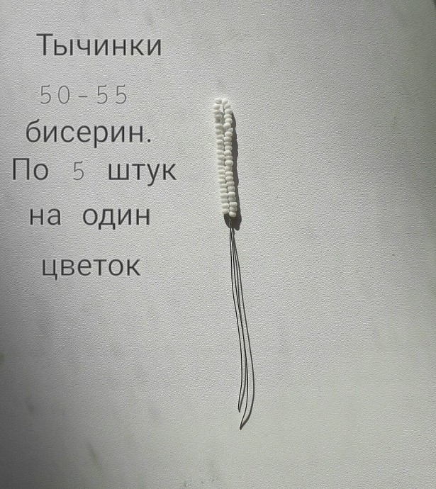 ​Пахистахис из бисера