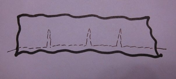 ​Вышиваем прекрасные маки