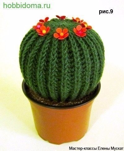 Игольница-кактус или новый зеленый друг Игольница-кактус или новый зеленый друг