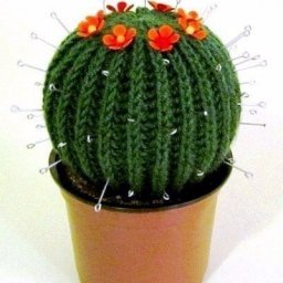 ​Игольница-кактус или новый зеленый друг