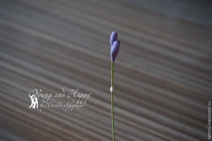 Лепим из полимерной глины веточки лаванды: часть 1 Лепим из полимерной глины веточки лаванды: часть 1