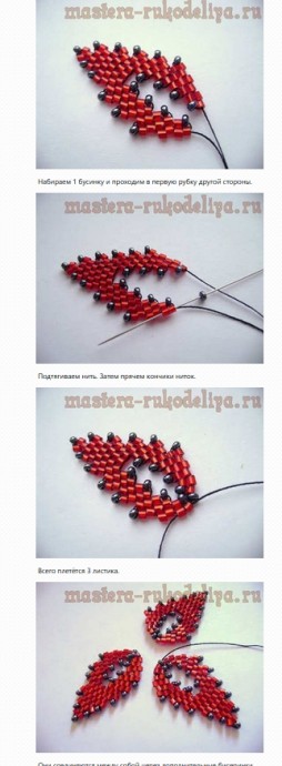 ​Рождественский цветок