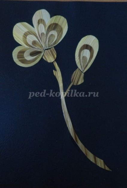 Цветочное панно из соломки: часть 2