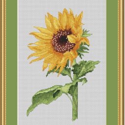 ​Солнечный подсолнух