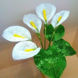 Прекрасные кaллы из биcepa