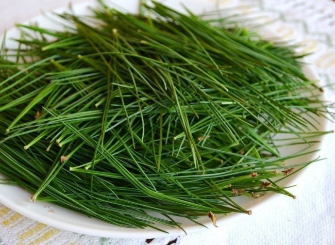 ​Подставка под горячее из хвои