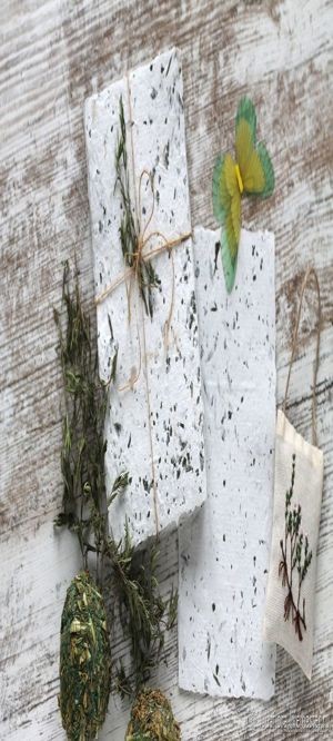 Создаем открытку из макулатуры с ботаникой: часть 1