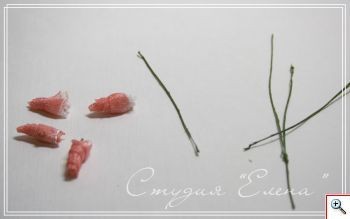 Цветы из ленты органзы