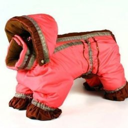 Комбинезон для собачки