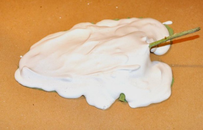 ​Мастер-класс по изготовлению оригинального блюда "Листья": часть 1