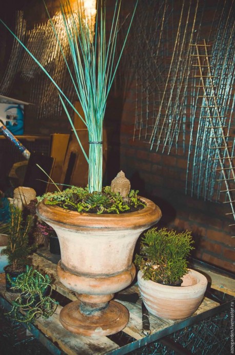 ​Создаем мини-сад из суккулентов в бетонном уличном вазоне