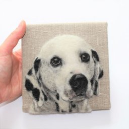 ​Сухое валяние собаки