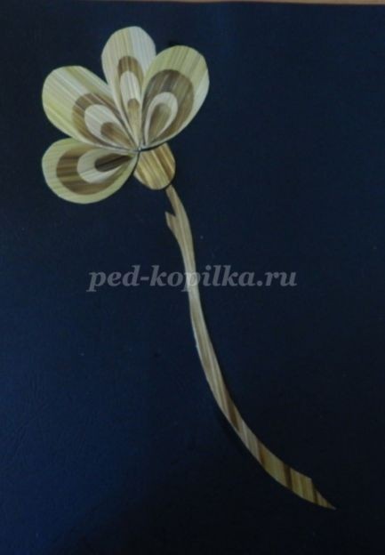 Цветочное панно из соломки: часть 2