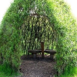 Отличная идея, как своими руками сделать "живую" беседку