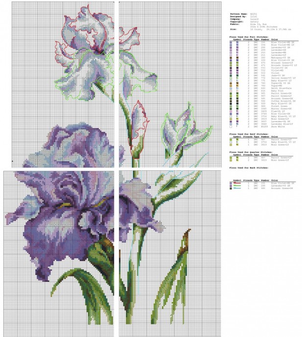 Прелесть ирисов