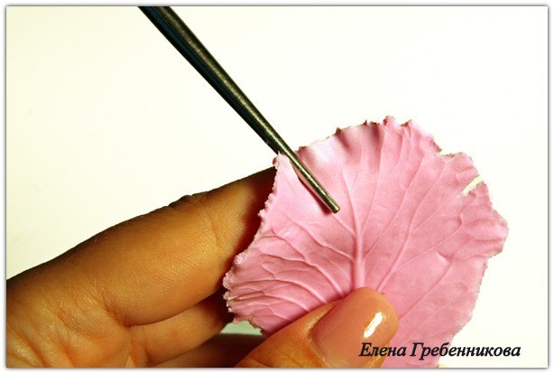 Брассика из холодного фарфора: мастер-класс, часть 1 Брассика из холодного фарфора: мастер-класс, часть 1